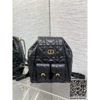 디올 카로 신상 백팩