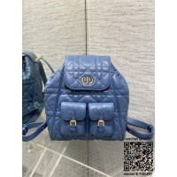 디올 카로 신상 백팩