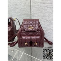 디올 카로 신상 백팩