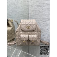 디올 카로 신상 백팩