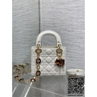 디올 DIOR 레이디백 17CM