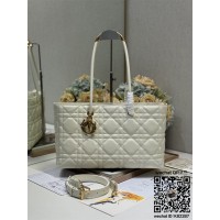 디올 토트백 스몰