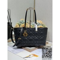 디올 토트백 스몰