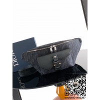 디올 오블리크 범백 벨트백