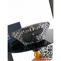 디올 오블리크 범백 벨트백