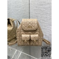 디올 카로 신상 백팩