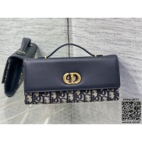 디올 카로 탑핸들백