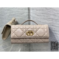 디올 카로 탑핸들백