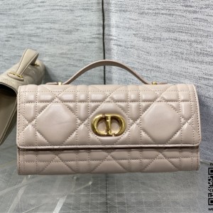 디올 카로 탑핸들백