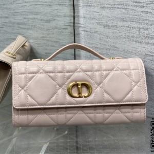 디올 카로 탑핸들백