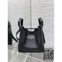 디올 Signature 버킷백