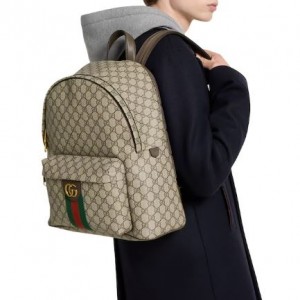 구찌 오피디아 미디엄 백팩834466