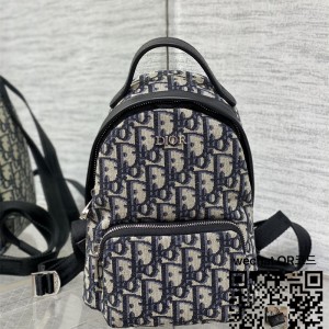 디올 미니 백팩
