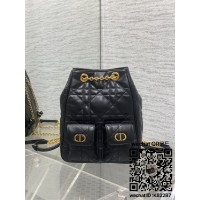 디올 카로 미디움  백팩