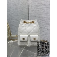 디올 카로 미디움  백팩