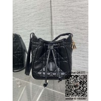 디올 카로 신상 버킷백 스몰