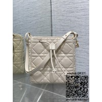 디올 카로 신상 버킷백 미디움