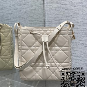 디올 카로 신상 버킷백 미디움