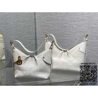 디올 Voyage 보야주 백 미디엄