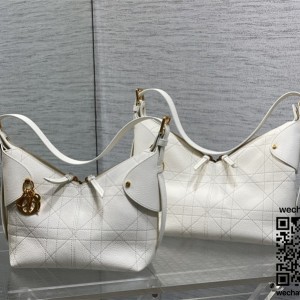 디올 Voyage 보야주 백 미디엄