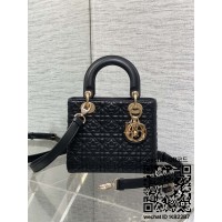 디올 DIOR 레이디백20CM
