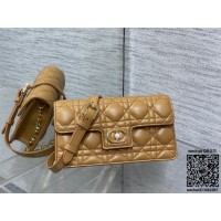 디올 체인 크로스백