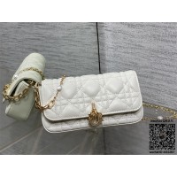 디올 체인 크로스백