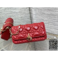 디올 체인 크로스백