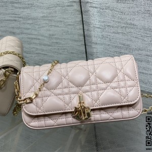 디올 체인 크로스백