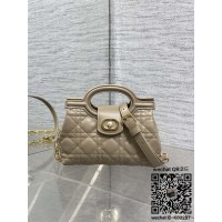 디올 졸리 탑핸들 미니백 Jolie Top Handle