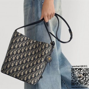 디올 신상 스타 버킷백