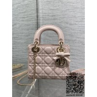 디올 DIOR 레이디백 17CM