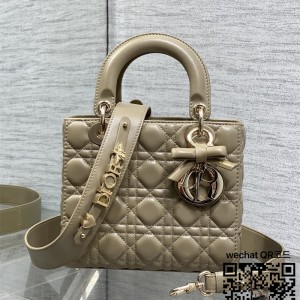 디올 DIOR 레이디백 20CM
