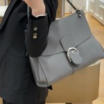 델보 브리앙 템포 토트백