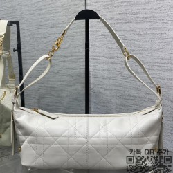디올 디저니 미디엄 호보백