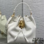 디올 신상 메달리옹 버킷백