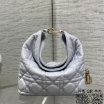 디올 뚜주흐 호보백 스몰