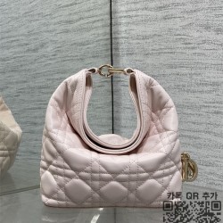 디올 뚜주흐 호보백 스몰